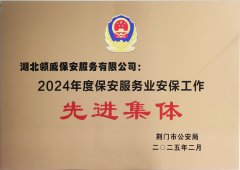 喜報！領(lǐng)威保安榮獲“2024年度保安服務(wù)業(yè)安保工